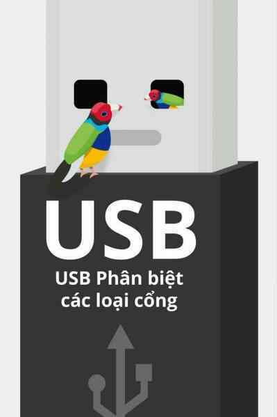 Phân biệt các loại cổng USB