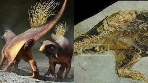 Cuối cùng thì giới cổ sinh vật học cũng đã tìm ra được cần tăng dân số của khủng long - Ảnh 1.