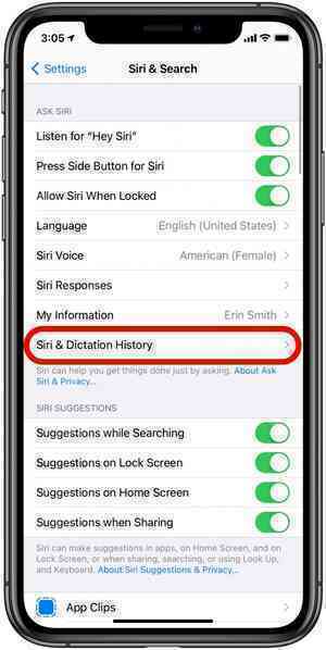 Hướng dẫn xem, xóa lịch sử trò chuyện với Siri trên iPhone