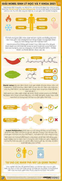 Ăn ớt thì nóng, ăn bạc hà thì mát: Giải thích được tại sao lại vậy thì bạn xứng đáng nhận giải Nobel - Ảnh 2.