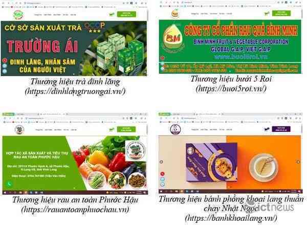 Đưa nông sản Vĩnh Long đến với nhiều người tiêu dùng hơn qua website tên miền .VN