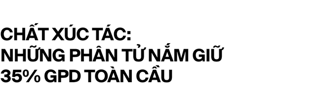 Nobel Hóa học 2021 và những phân tử nắm giữ 35% GDP toàn cầu - Ảnh 3.