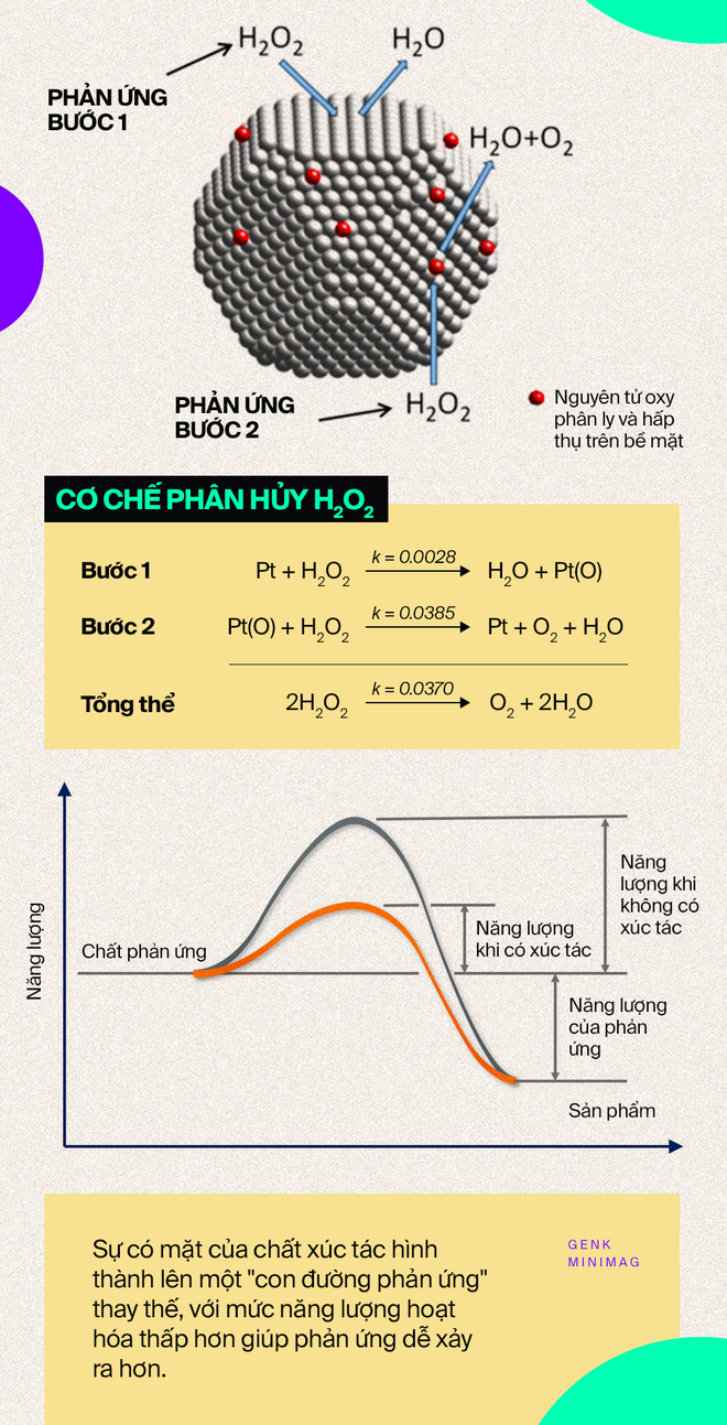 Nobel Hóa học 2021 và những phân tử nắm giữ 35% GDP toàn cầu - Ảnh 5.