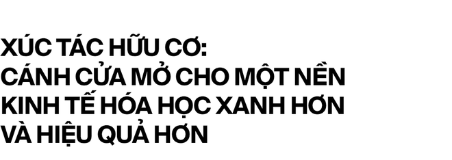 Nobel Hóa học 2021 và những phân tử nắm giữ 35% GDP toàn cầu - Ảnh 10.