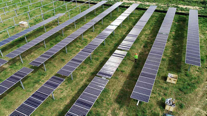 Điện nông: Những cánh đồng năng lượng mặt trời bốn trong một của thế hệ trẻ - Ảnh 3.