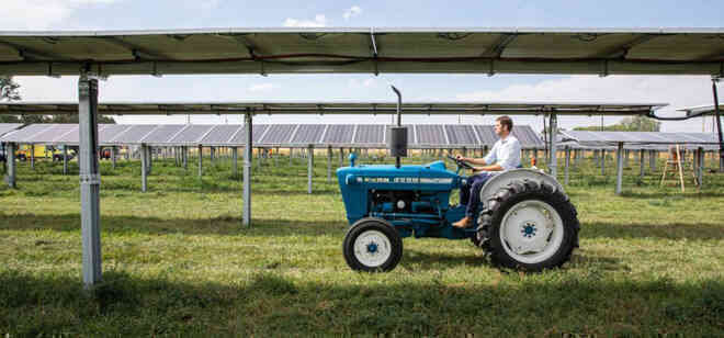 Điện nông: Những cánh đồng năng lượng mặt trời bốn trong một của thế hệ trẻ - Ảnh 4.