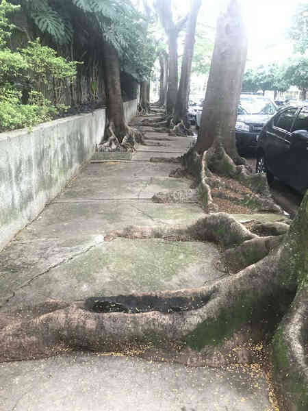Những bức ảnh chứng minh Brazil là một đất nước lạ kỳ - Ảnh 9. Những bức ảnh chứng minh Brazil là một đất nước lạ kỳ - Ảnh 9.