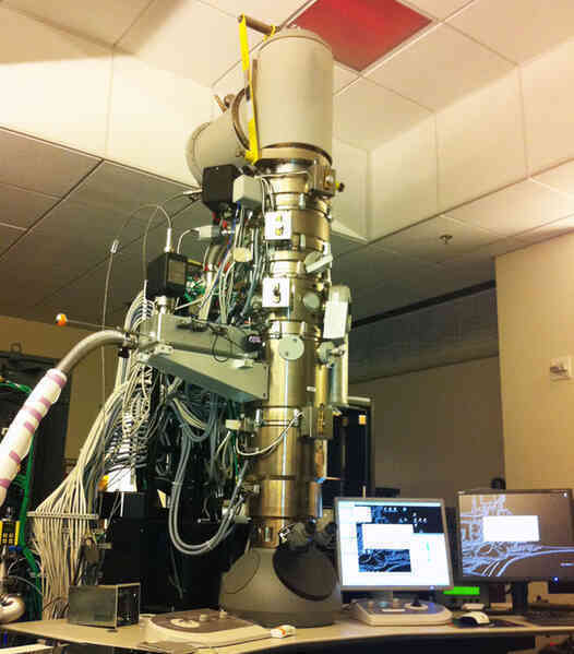 Công nghệ kính hiển vi này đã cho phép chúng ta nhìn thấy từng nguyên tử trong một tế bào - Ảnh 2.