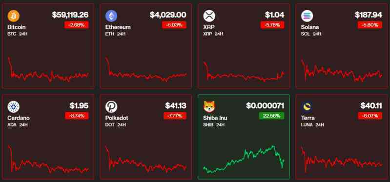 Trở thành tỷ phú USD nhờ mua Shiba Inu từ năm ngoái