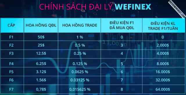  Sàn giao dịch tiền ảo Wefinex bị chặn vì vi phạm pháp luật, hàng nghìn nhà đầu tư náo loạn, hàng trăm tỷ bốc hơi - Ảnh 3.