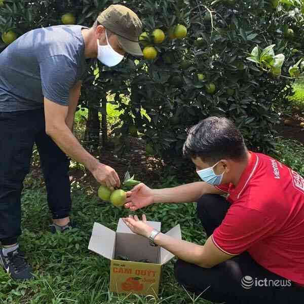 Nâng cao giá trị cho cam Cao Phong qua kênh tiêu thụ trực tuyến Postmart, Vỏ Sò