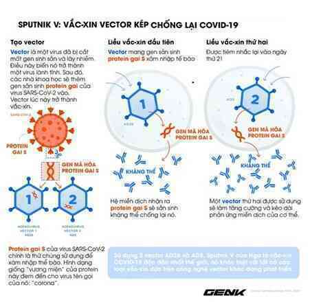 Sputnik V là vắc-xin chống biến chủng Delta tỉ lệ cao nhất trên thế giới - Ảnh 3. Sputnik V là vắc-xin chống biến chủng Delta tỉ lệ cao nhất trên thế giới - Ảnh 3.