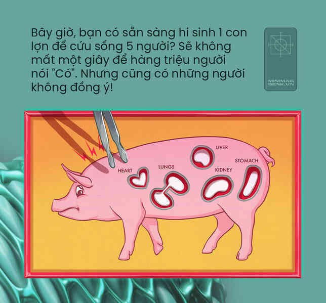 Nội tạng lợn đã ghép được sang người: có phải ranh giới đạo đức mỏng manh nhất đang dần bị xé rách? - Ảnh 2. Nội tạng lợn đã ghép được sang người: có phải ranh giới đạo đức mỏng manh nhất đang dần bị xé rách? - Ảnh 2.
