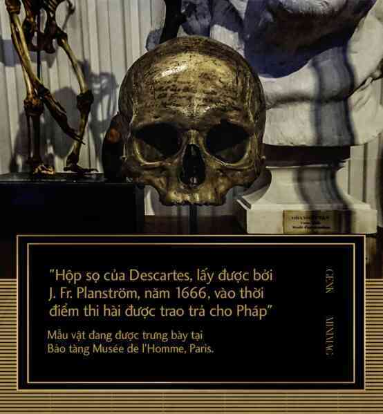 Bí ẩn vụ trộm hộp sọ René Descartes: Hài cốt của ông đã ở đâu sau hơn 300 năm lưu lạc? - Ảnh 4.