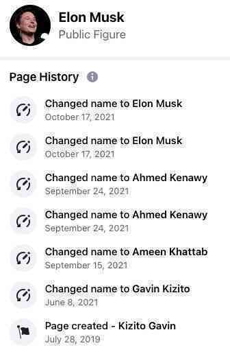 Facebook cấp tích xanh cho fanpage Elon Musk không phải chính chủ - Ảnh 3.