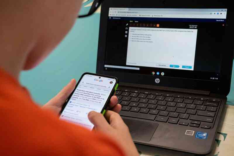 Số vụ gian lận gia tăng khi sinh viên Mỹ học online
