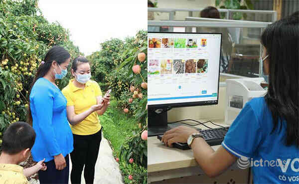 Chính thức vận hành Cổng hỗ trợ hộ sản xuất nông nghiệp trên sàn thương mại điện tử