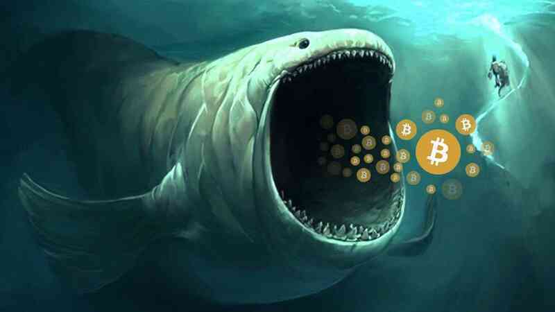 Elon Musk thích Dogecoin, Dogecoin, Bitcoin ảnh 2 Elon Musk thich Dogecoin, Dogecoin, Bitcoin anh 2