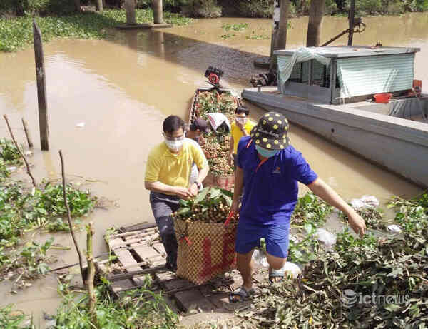 Postmart, Vỏ Sò hỗ trợ tiêu thụ gần 1.500 tấn nông sản cho nông dân Đồng Tháp
