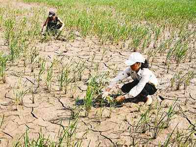 Tuyên Quang: Lồng ghép phòng chống thiên tai, biến đổi khí hậu vào kế hoạch phát triển KT-XH