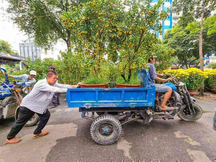 TP.HCM ngày cuối năm