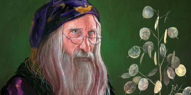 Doctor Strange đấu phép thuật với Dumbledore: Ai sẽ thắng? - Ảnh 2. Doctor Strange đấu phép thuật với Dumbledore: Ai sẽ thắng? - Ảnh 2.