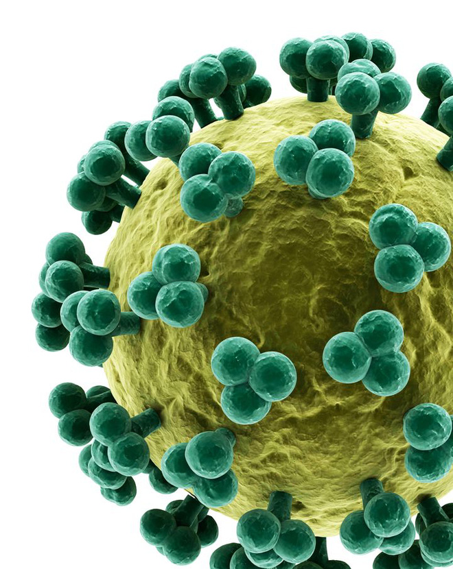Tại sao ngày càng có nhiều loại virus mới? - Ảnh 1. Tại sao ngày càng có nhiều loại virus mới? - Ảnh 1.