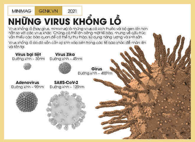 Một biên niên sử về virus: Từ những thiên thần của tiến hóa tới cơn ác mộng COVID-19 - Ảnh 8. Một biên niên sử về virus: Từ những thiên thần của tiến hóa tới cơn ác mộng COVID-19 - Ảnh 8.