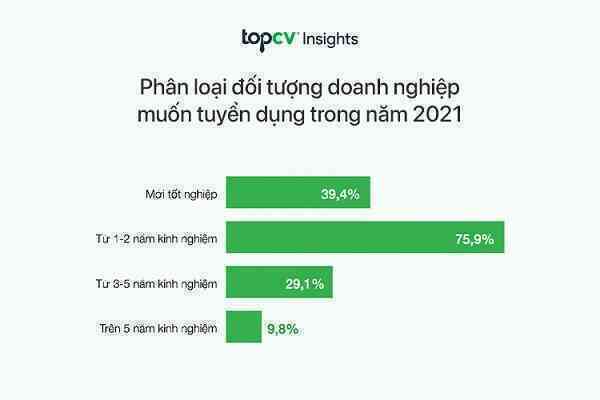 Báo cáo tuyển dụng TopCV: Doanh nghiệp “khát” nhân lực ngành CNTT