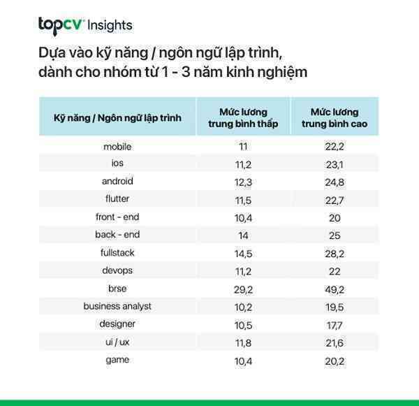 Báo cáo tuyển dụng TopCV: Doanh nghiệp “khát” nhân lực ngành CNTT