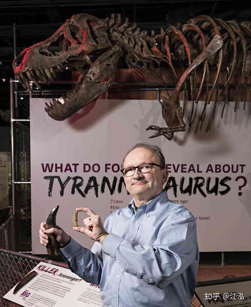 Giải mã bí ẩn về sự trỗi dậy của họ Tyrannosaurus - Khủng long bạo chúa - Ảnh 2.