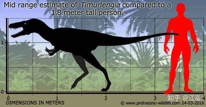 Giải mã bí ẩn về sự trỗi dậy của họ Tyrannosaurus - Khủng long bạo chúa - Ảnh 4.