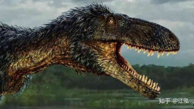 Giải mã bí ẩn về sự trỗi dậy của họ Tyrannosaurus - Khủng long bạo chúa - Ảnh 5.