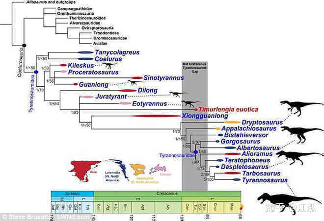 Giải mã bí ẩn về sự trỗi dậy của họ Tyrannosaurus - Khủng long bạo chúa - Ảnh 8. Giải mã bí ẩn về sự trỗi dậy của họ Tyrannosaurus - Khủng long bạo chúa - Ảnh 8.