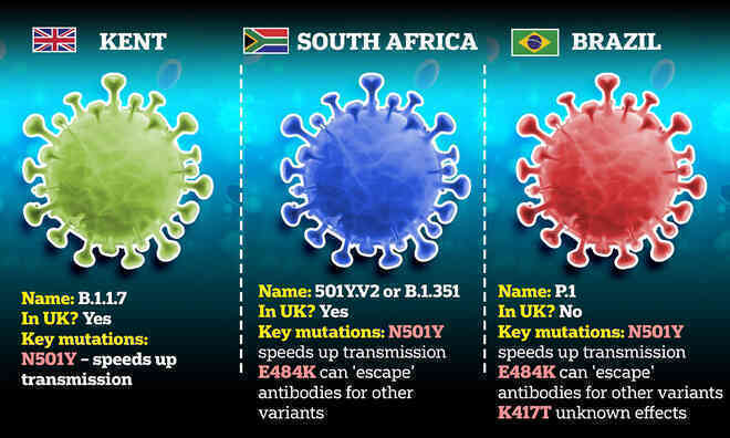 Biến thể virus SARS-CoV-2 mới ở Anh lại tiếp tục biến thể - Ảnh 2.