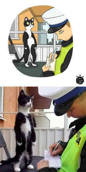 [Chùm ảnh vui] Khi ảnh meme của các boss mèo được vẽ lại siêu đáng yêu khiến ai xem xong cũng phải mỉm cười