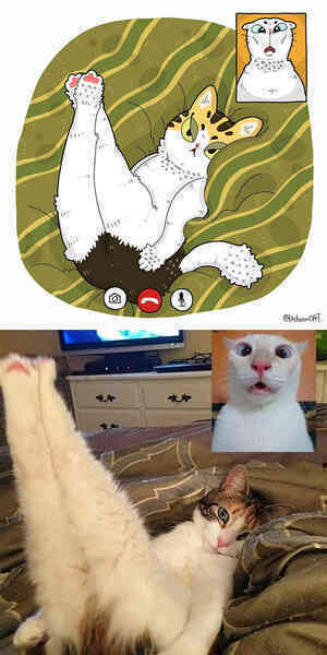 [Chùm ảnh vui] Khi ảnh meme của các boss mèo được vẽ lại siêu đáng yêu khiến ai xem xong cũng phải mỉm cười - Ảnh 13.