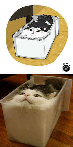 [Chùm ảnh vui] Khi ảnh meme của các boss mèo được vẽ lại siêu đáng yêu khiến ai xem xong cũng phải mỉm cười - Ảnh 17.