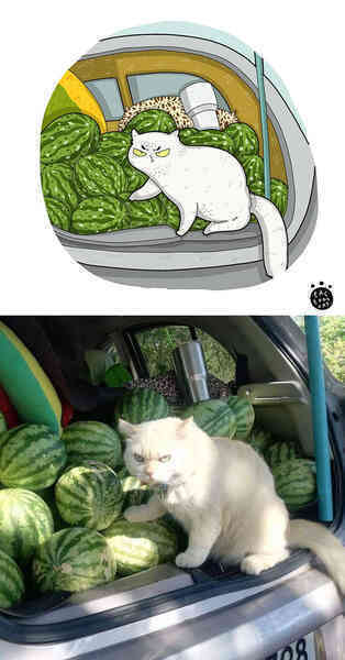 [Chùm ảnh vui] Khi ảnh meme của các boss mèo được vẽ lại siêu đáng yêu khiến ai xem xong cũng phải mỉm cười - Ảnh 18.