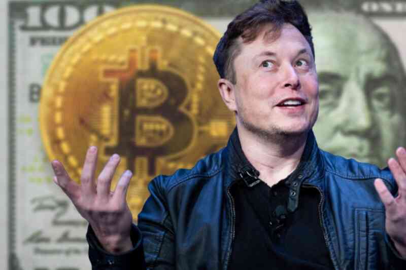 Từ một người được cho Bitcoin cũng không để ý, Elon Musk đã thay đổi