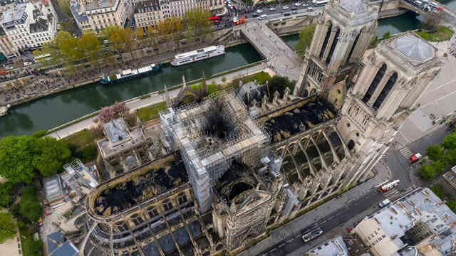 Xây dựng lại ngọn tháp của Nhà thờ Đức Bà Paris với 1.000 cây sồi hàng trăm năm tuổi