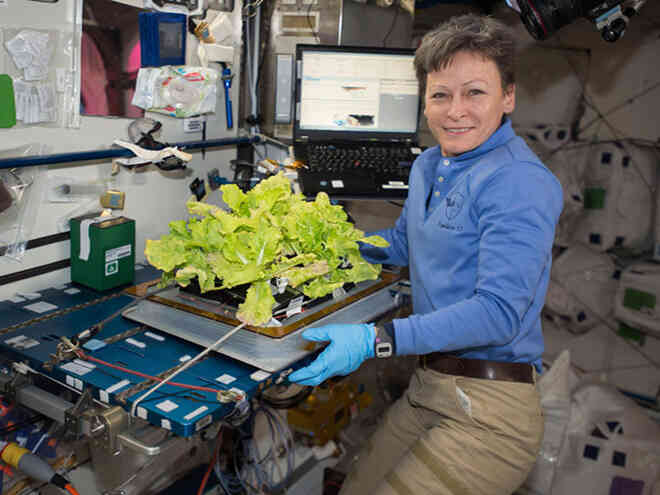 Các nhà khoa học phát hiện 3 chủng vi khuẩn chưa từng thấy trên Trạm Vũ trụ Quốc tế ISS - Ảnh 3. Các nhà khoa học phát hiện 3 chủng vi khuẩn chưa từng thấy trên Trạm Vũ trụ Quốc tế ISS - Ảnh 3.