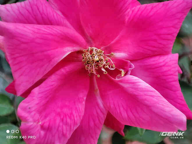 Đánh giá camera Redmi K40 Pro: Vượt trội trong tầm giá? - Ảnh 5. Đánh giá camera Redmi K40 Pro: Vượt trội trong tầm giá? - Ảnh 5.