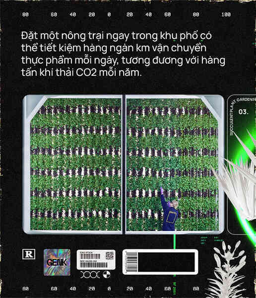 Sẽ thế nào khi rau được trồng trong nhà máy, bằng robot, AI và thế hệ nông dân 4.0? - Ảnh 14. Sẽ thế nào khi rau được trồng trong nhà máy, bằng robot, AI và thế hệ nông dân 4.0? - Ảnh 14.