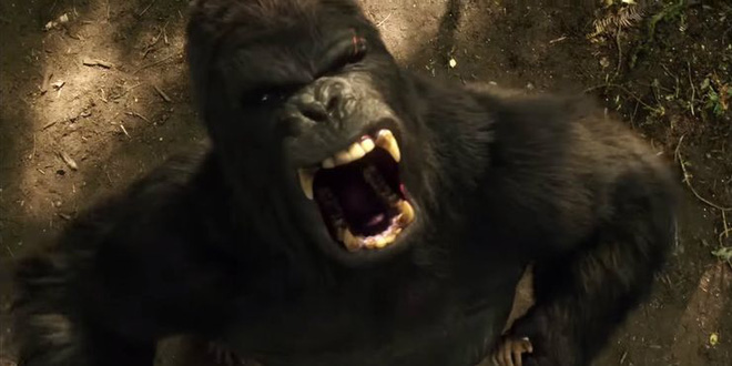 Những easter egg thú vị trong Justice League: Zack Snyder cũng góp mặt sương sương, có cả chi tiết liên quan đến Marvel - Ảnh 12. Những easter egg thú vị trong Justice League: Zack Snyder cũng góp mặt sương sương, có cả chi tiết liên quan đến Marvel - Ảnh 12.