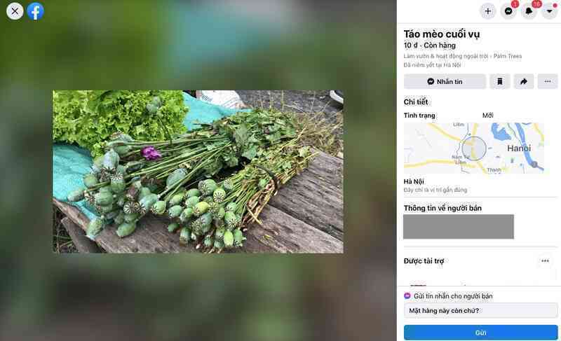 Lên Facebook rao 