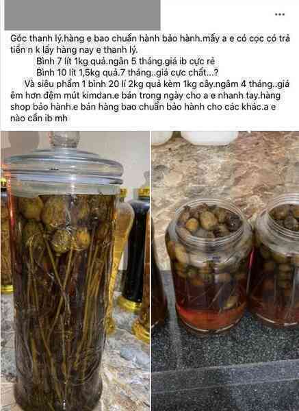 Lên Facebook rao 'táo mèo cuối vụ' để bán cây thuốc phiện