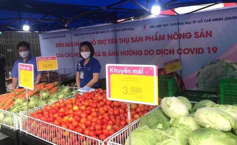 Mạng xã hội, siêu thị chung tay giải cứu nông sản Hải Dương