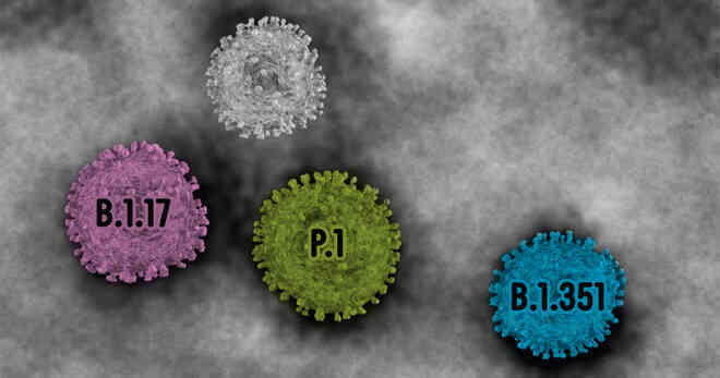 Giải mã từng chữ số trong tên biến thể virus SARS-CoV-2: B.1.1.7, B.1.351 nghĩa là gì?