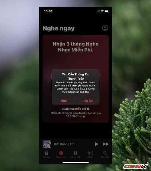 Cách đăng ký nhận 3 tháng dùng thử miễn phí Apple Music trên iPhone - Ảnh 5. Cách đăng ký nhận 3 tháng dùng thử miễn phí Apple Music trên iPhone - Ảnh 5.